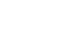 icon+logo-vingroup